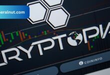 Cryptopia News Craigscottcapital - The Comprehensive Guide!